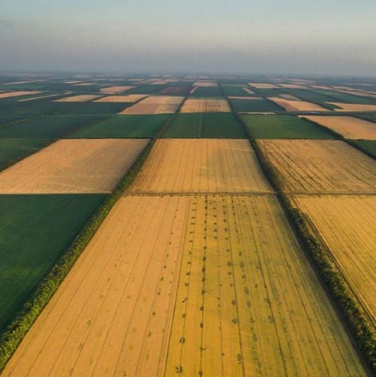 Земли сельскохозяйственного назначения 